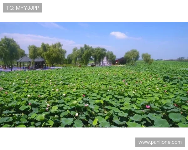 南京俱乐部携手宝应共建青训体系